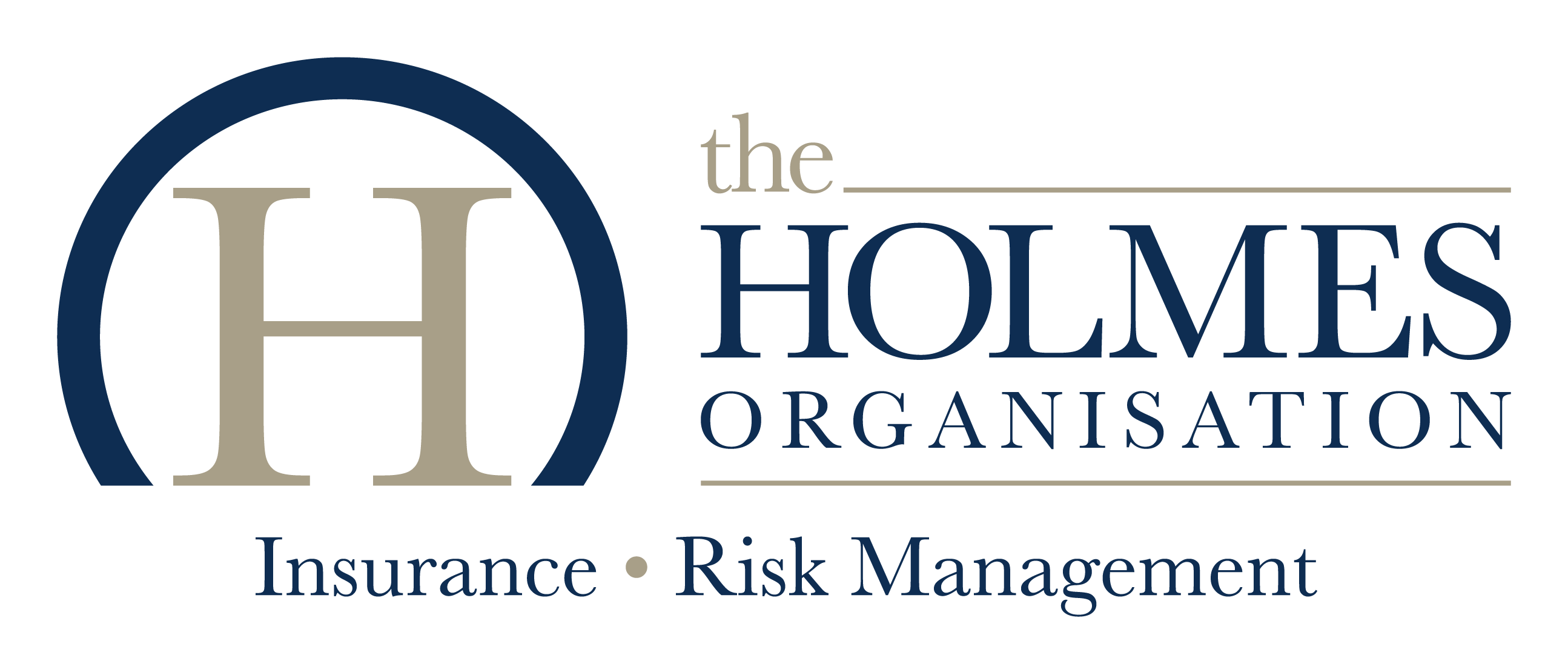 Silver - The Holmes Organisation Logo.png